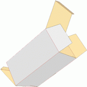 Faltschachtel als Präsentationsverpackung