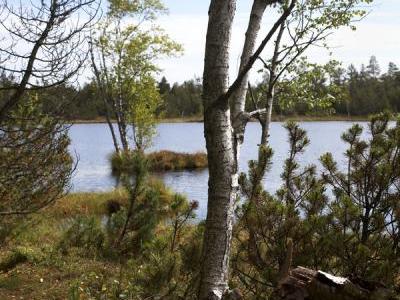 Gernsbach Natur